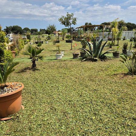 B&B L'Albero D'Oro Sava Ngoại thất bức ảnh